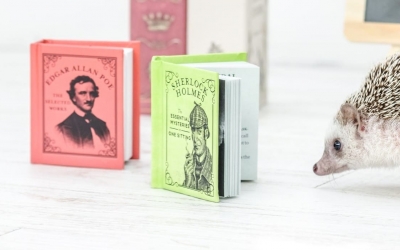 第十七屆台灣推理作家協會徵文獎　特別提醒